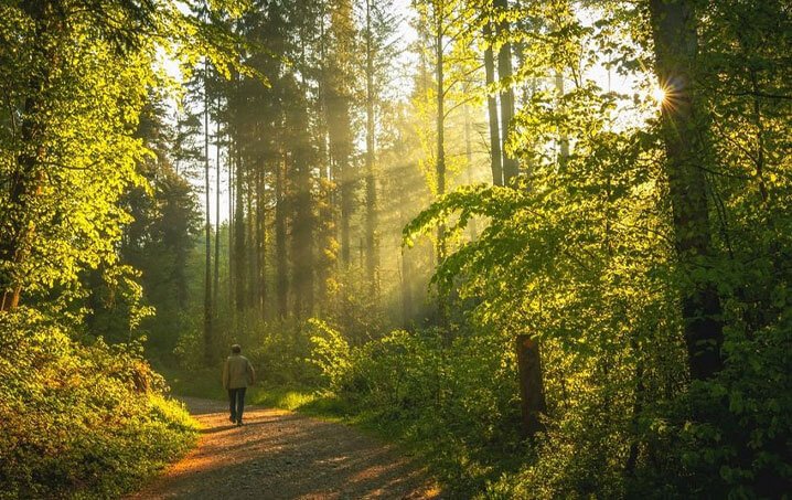 Rustomjee Seasons 4 BHK